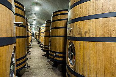 四人合作FPS游戏《The Anacrusis》今日在Steam发售 支持中文